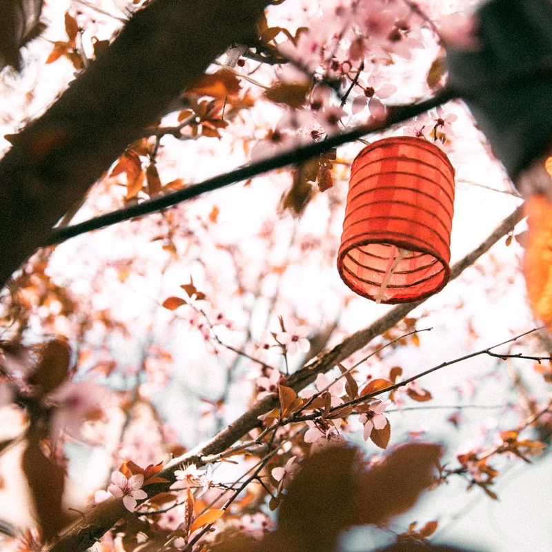red chinese lantern