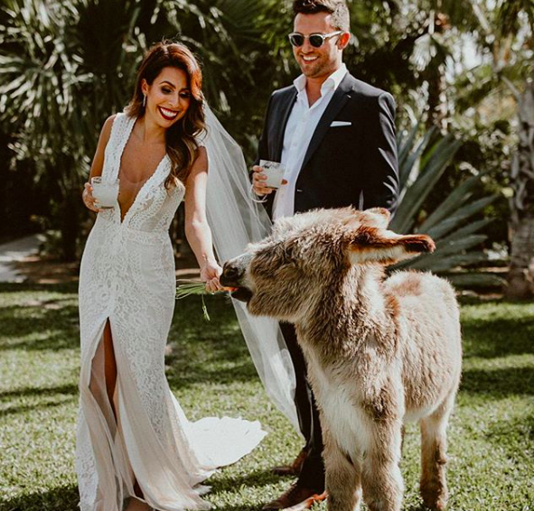 everyday pursuits destination wedding