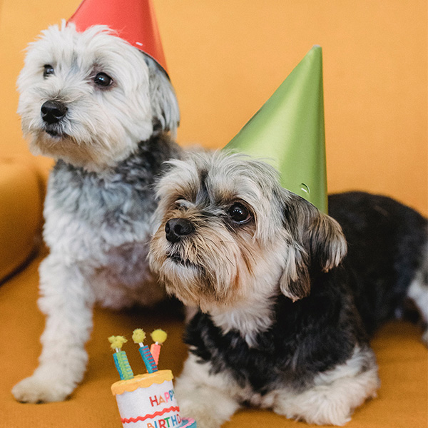 Funky Charm birthday party