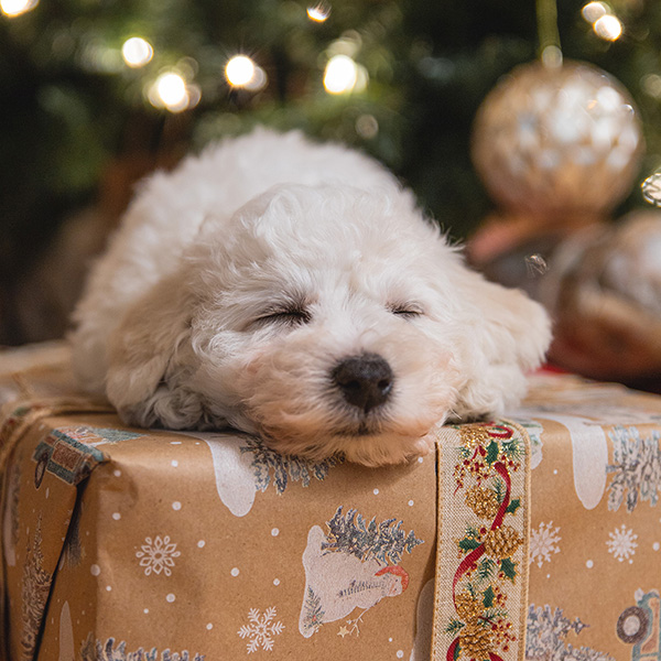 custom Christmas decorations