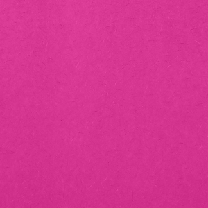 Personalized Fuchsia 10 sheets Tissue Paper will look fabulous with your unique touch. Your guests will agree! Each sheet is 20 inches x 26 inches. 