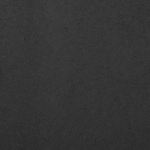 Our personalized Black 10 sheets Tissue Paper can be customized to complement every last detail of your party.