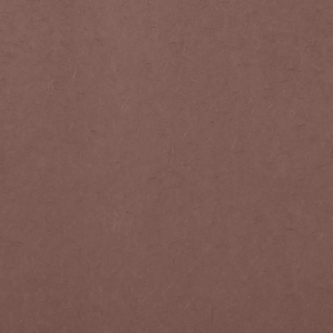 Brown 10 sheets Tissue Paper will add that special attention to detail that cannot be overlooked. Each sheet is 20 inches x 20 inches.