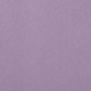 ForYourParty's chic Lavender 10 sheets Tissue Paper will add that special attention to detail that cannot be overlooked.
