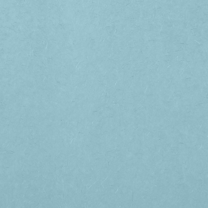 Our beautiful custom Light Blue 10 sheets Tissue Paper can be personalized to match your party's exact theme and tempo. Each sheet is 20 inches x 26 inches.