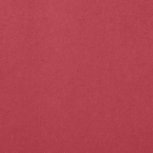 Our beautiful custom Red 10 sheets Tissue Paper will give your party the personalized touch every host desires.