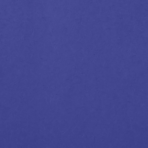 For Your Party's elegant Royal Blue 10 sheets Tissue Paper are a must-have for your next event—whatever the celebration!