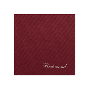 This Classic Last Name Napkin features elegant cursive lettering with a custom last name for a refined, minimalist statement. Add it to your powder room or dining table to create a polished and welcoming atmosphere for visitors. Refined for cocktail parties or formal gatherings.