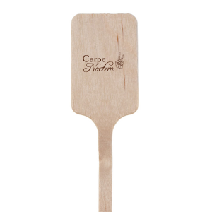 Carpe Noctem Stir Stick Rectangle Stir Stick (Foil)