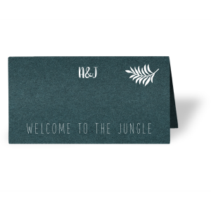 classic place cards personalized 4 75 x 2 5 place cards for your place card
