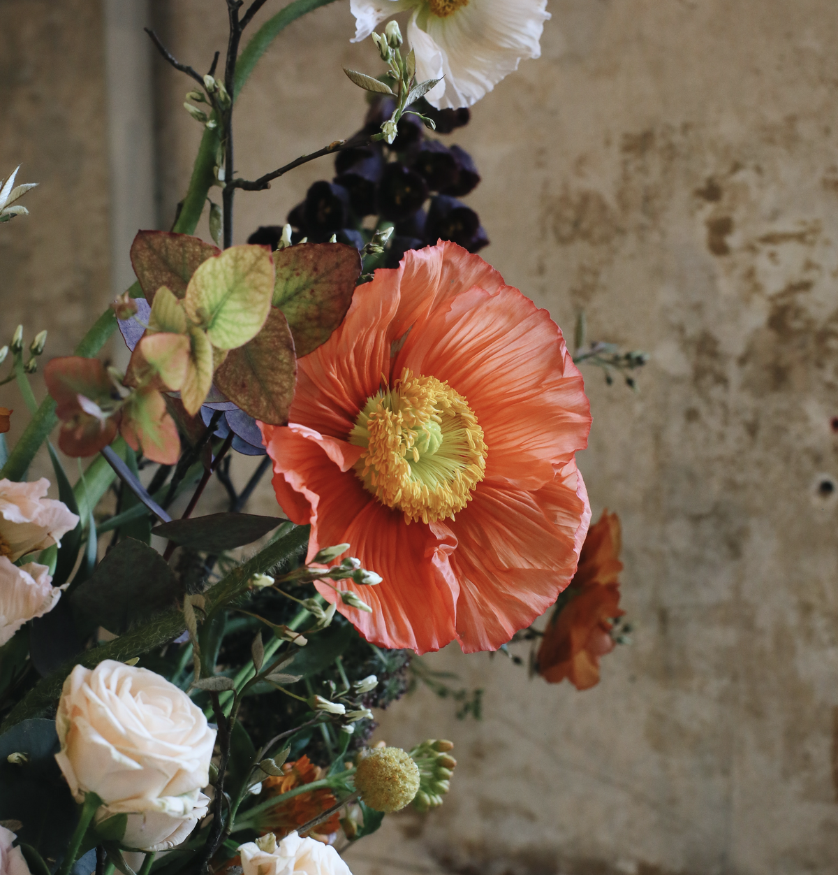 Autumnal Bloom