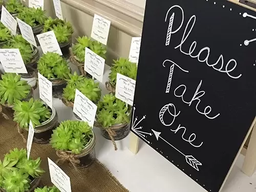 Succulent wedding favors