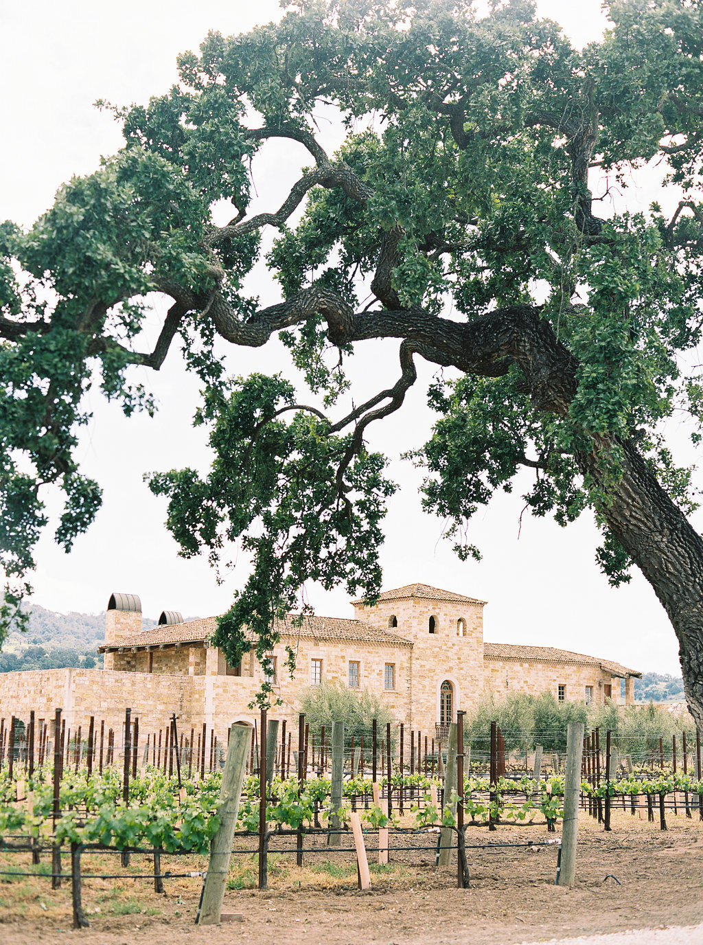 tuscan style dinner party
