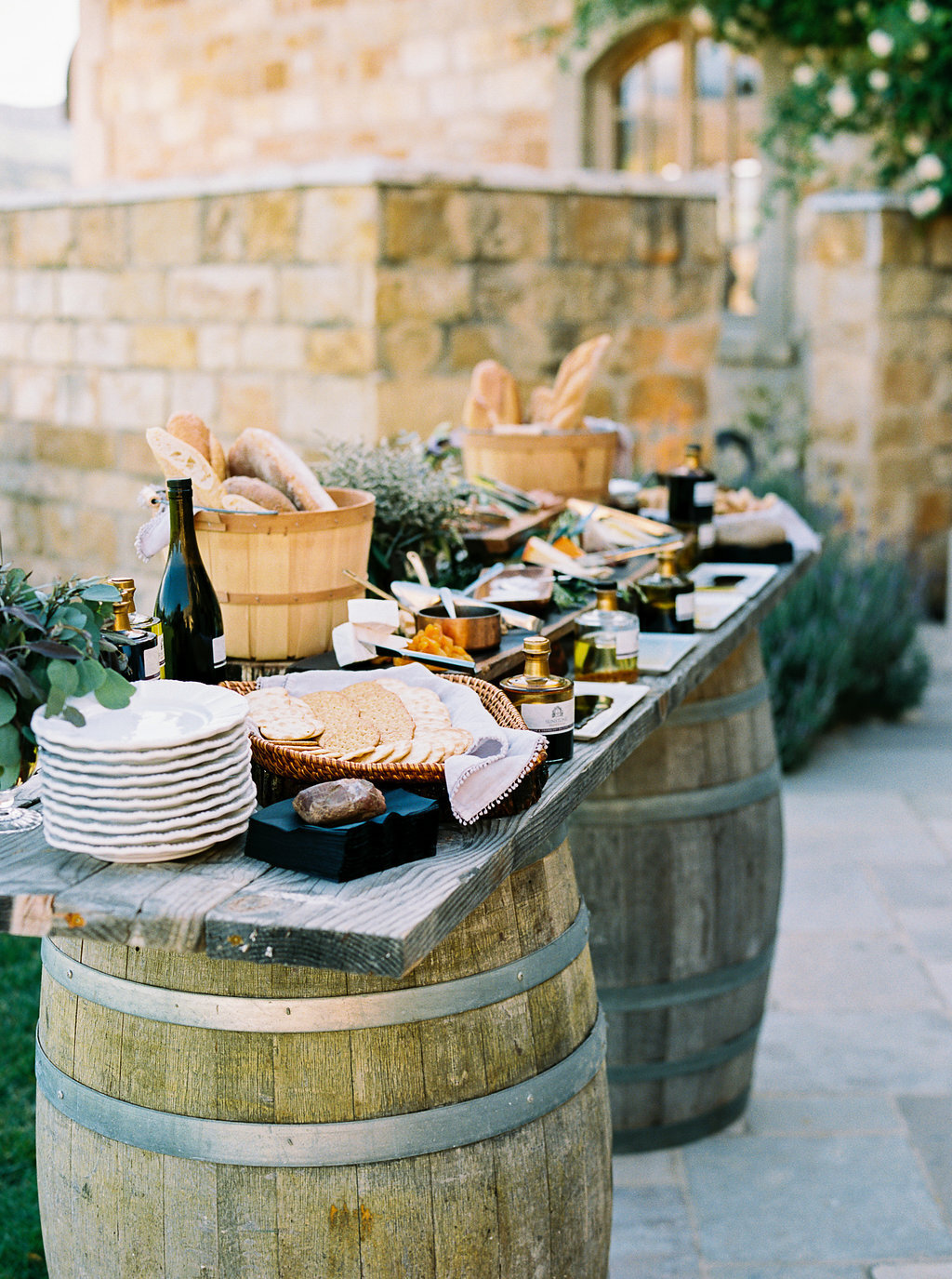 modern art catering beautiful cheese and olive oil bar