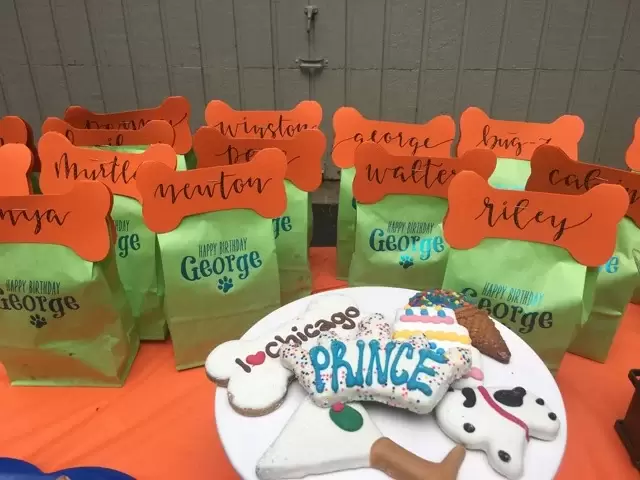 personalized goodie bags with a dog bone and calligraphy names for a dog party with dog themed cookies