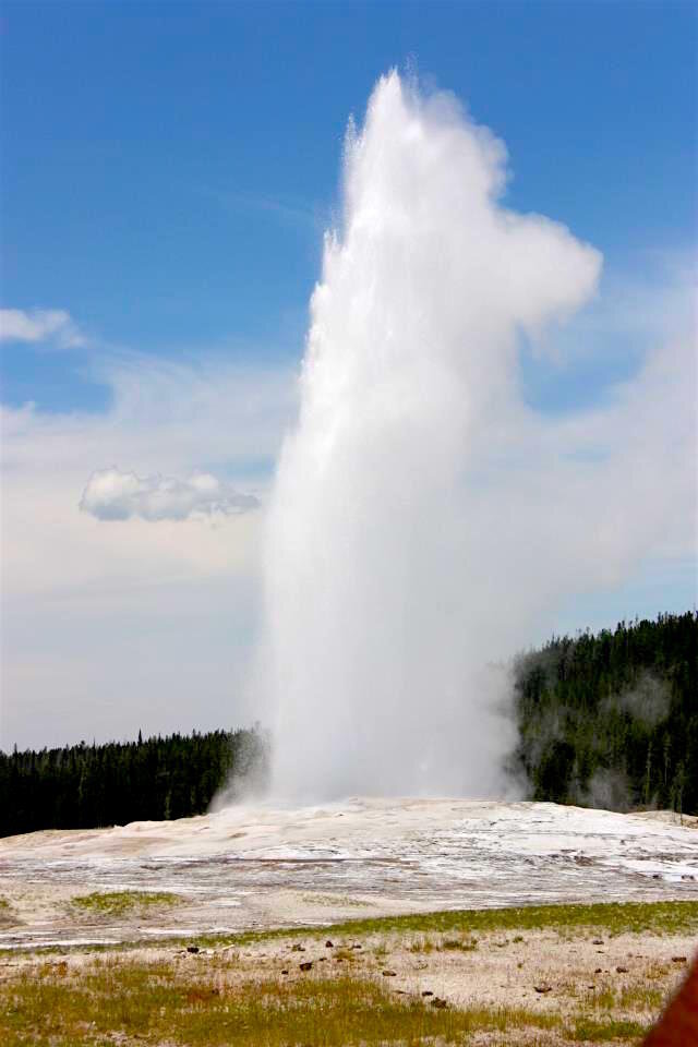 old faithful