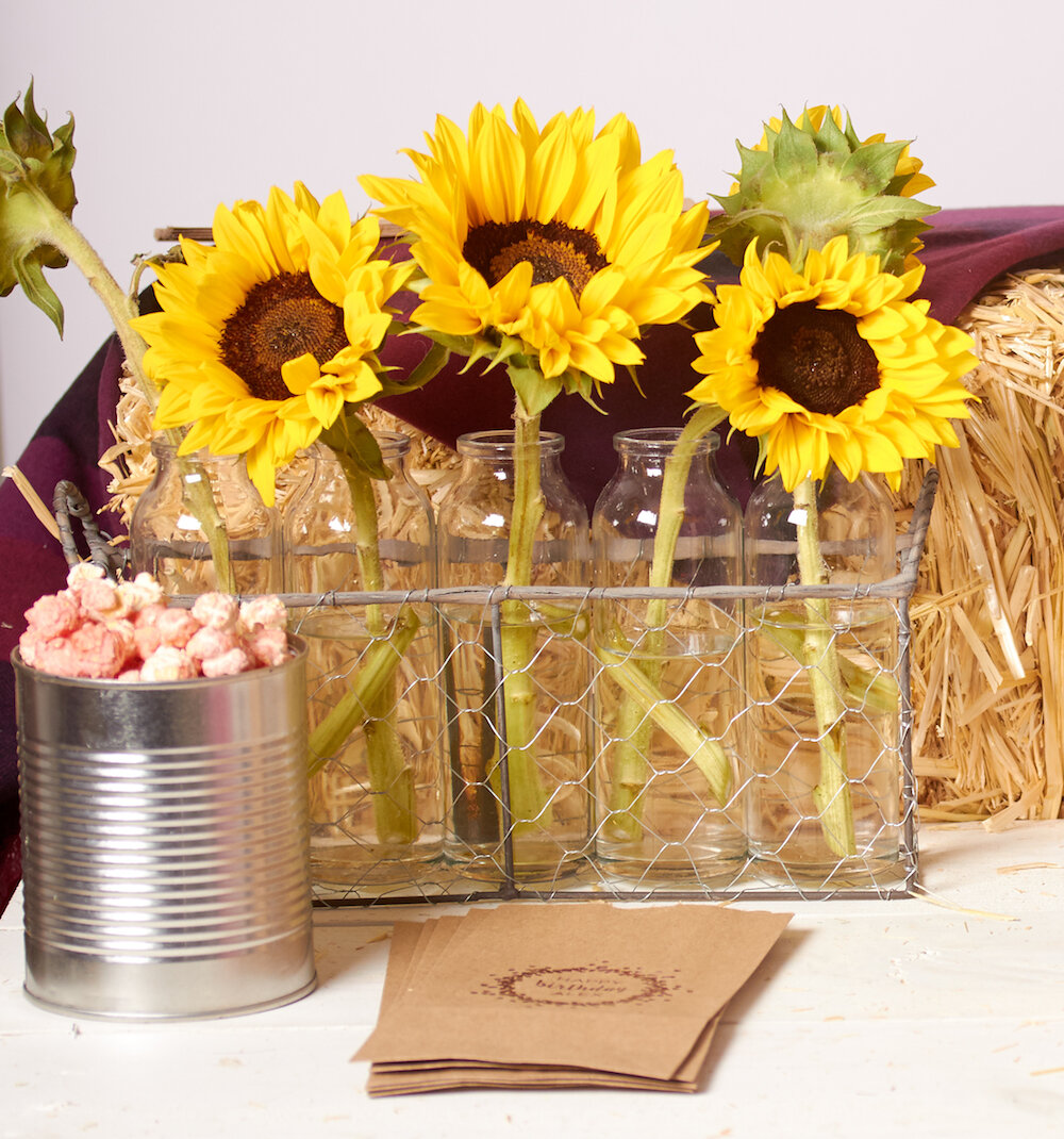 Throw a Apple Orchard Themed Fall Birthday Party For Throw a Apple Orchard Themed Fall Birthday Party For