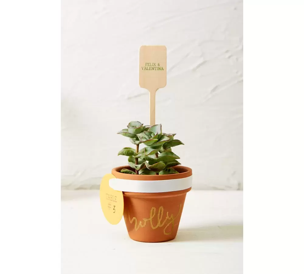diy mini succulent pot as a place card