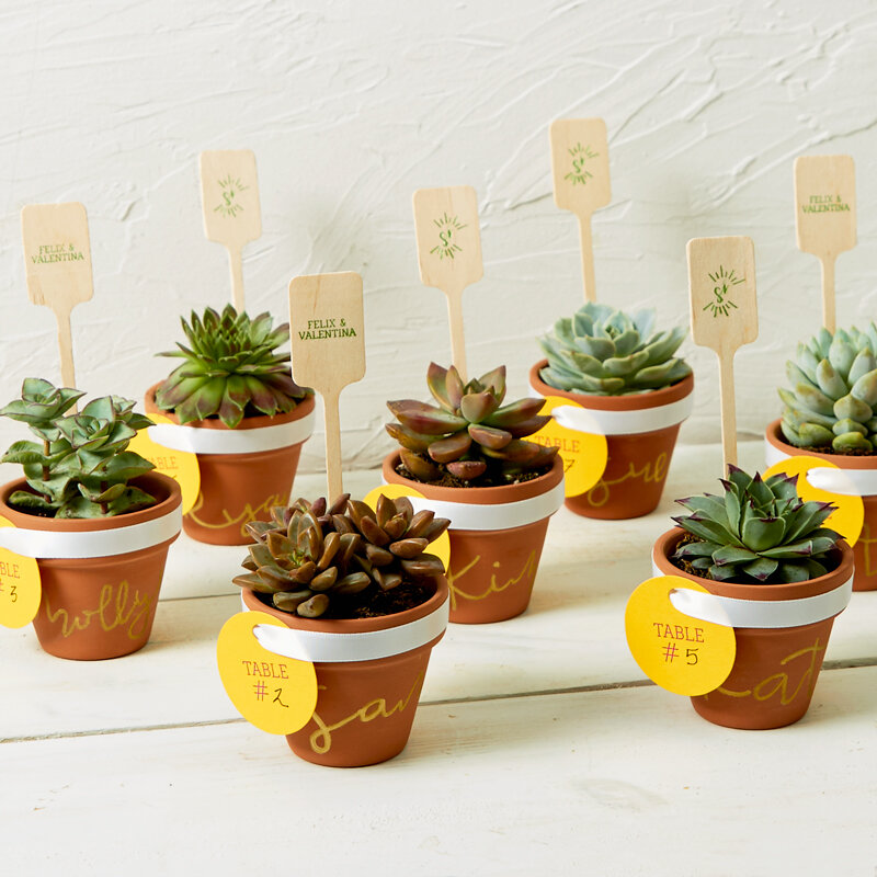 diy mini succulent pot as a place card