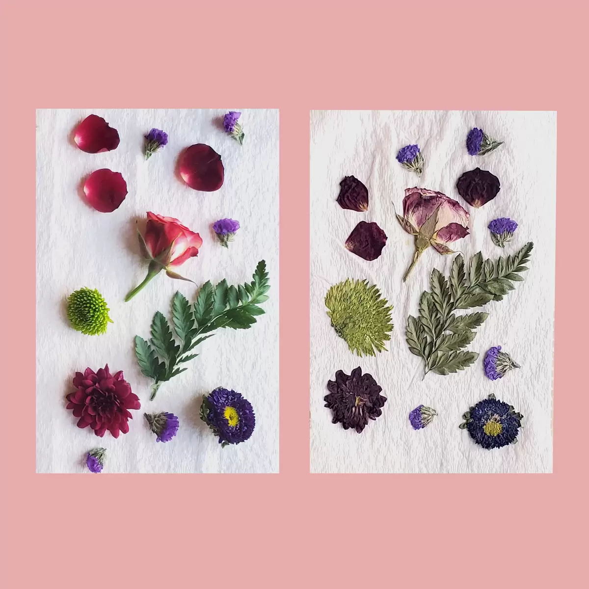 before and after of diy pressed flower craft