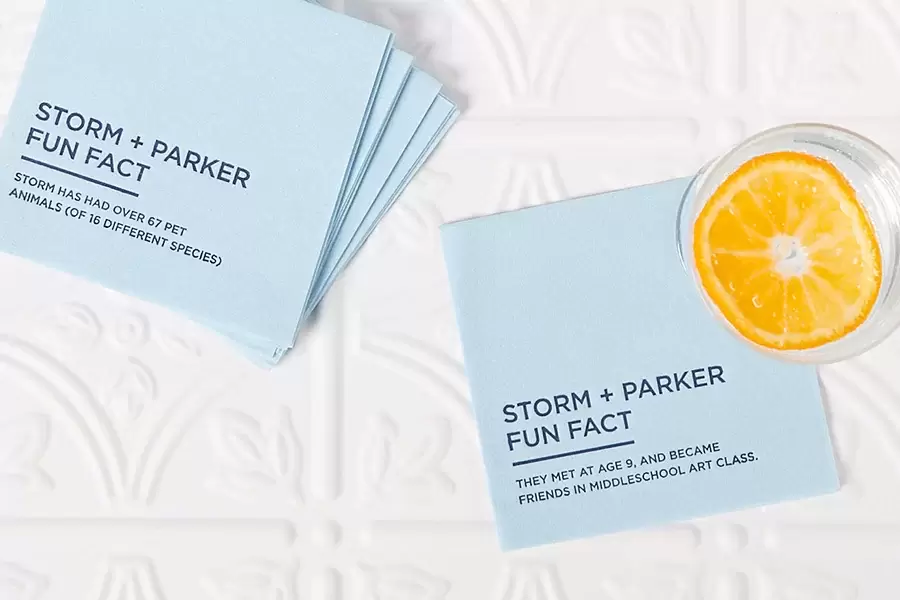 Fun Fact conversation starter Napkins
