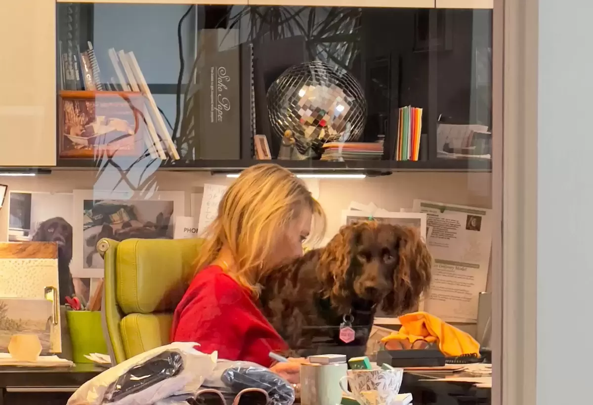 For Your Party’s 20th Anniversary