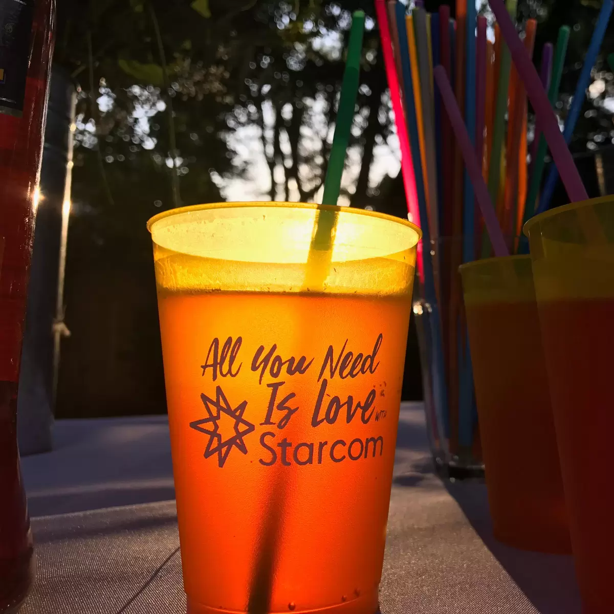 custom plastic cups for parties and personalized party favors