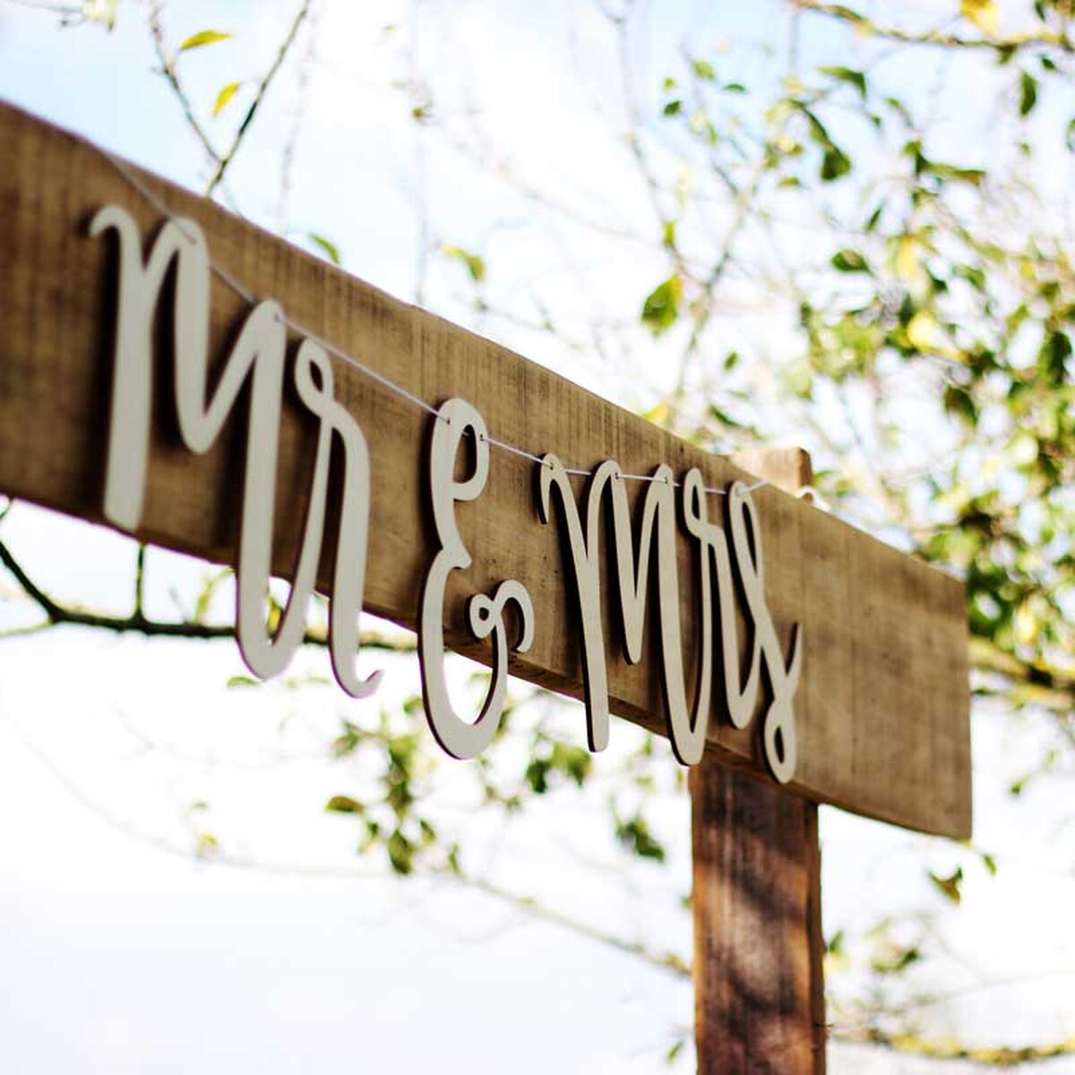 Spring Fever Wedding Color Palette