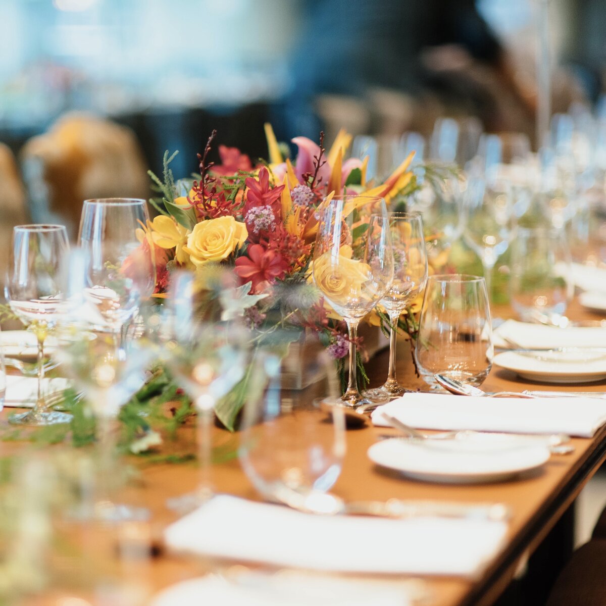 Hinterland Honeymoon Collection 